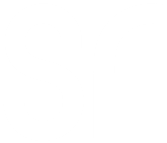 sr-archetype-favicon-white
