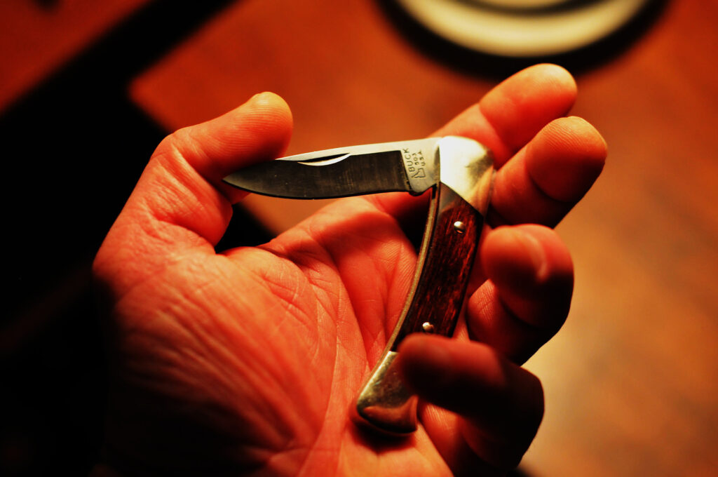 Buck Mini Pocket Knife